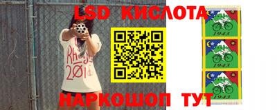 гидра Моздок
