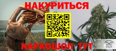 гидра Моздок