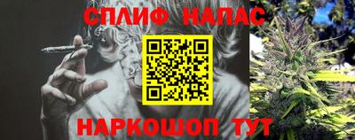 гидра Моздок