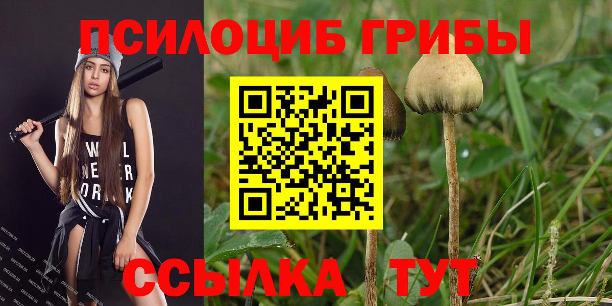 Аксай  Псилоцибиновые грибы GOLDEN TEACHER  Вход с VPN 